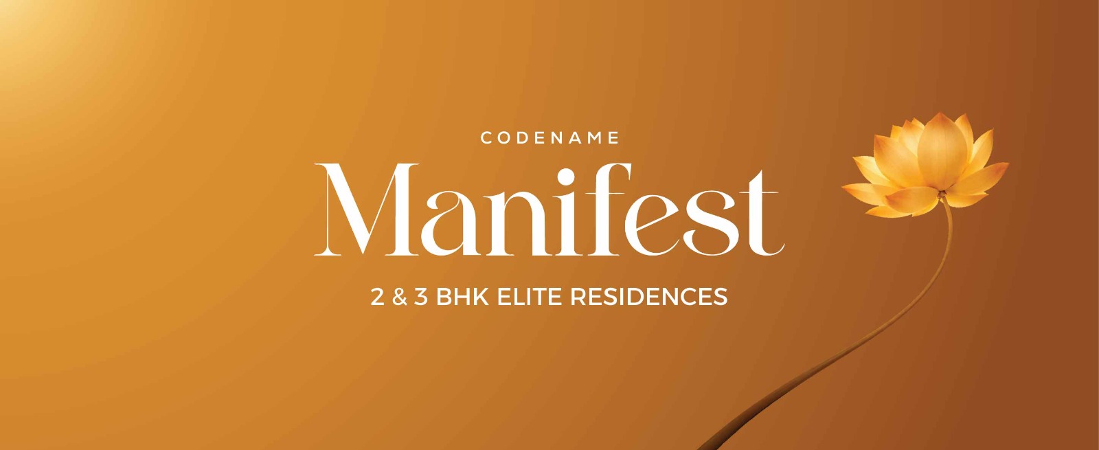 WhatsApp Image 2026-04-27 at 17.21.05